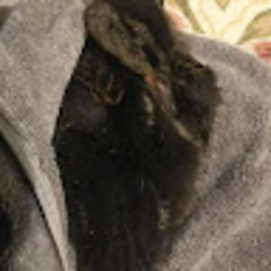 Meet your Posher, Kimberly